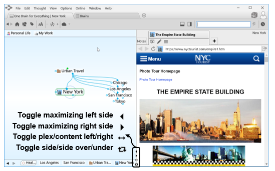 思維導圖TheBrain基礎實操教程——定制TheBrain使用環境 思維導圖TheBrain基礎實操教程——定制TheBrain使用環境