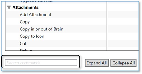 思維導圖TheBrain基礎實操教程——設置喜好快捷鍵設置