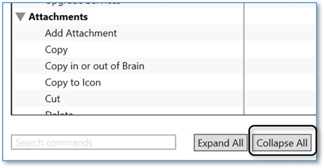 思維導圖TheBrain基礎實操教程——設置喜好快捷鍵設置