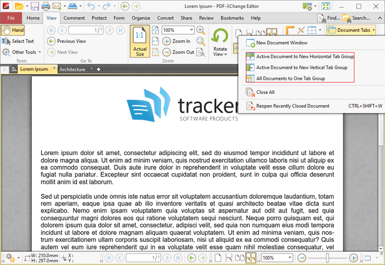 文檔標簽選項 文檔標簽選項