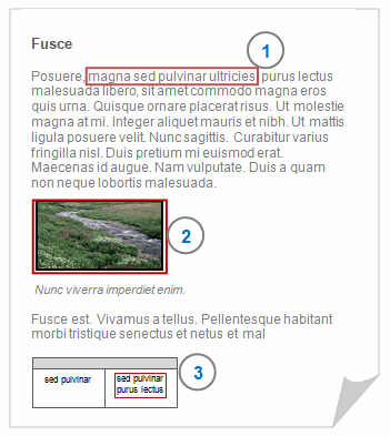 選擇內容文本 選擇內容文本